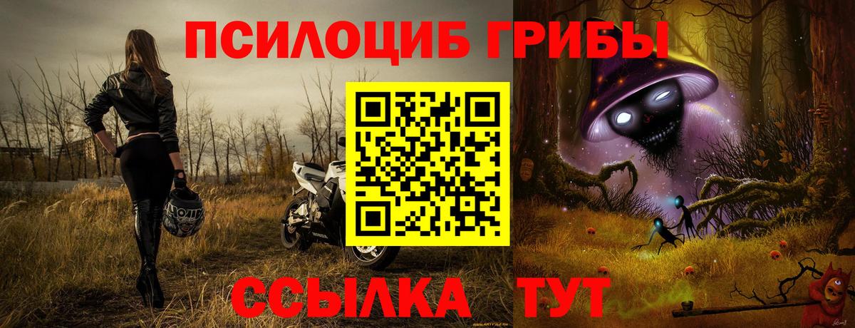Галлюциногенные грибы MAGIC MUSHROOMS Знаменск